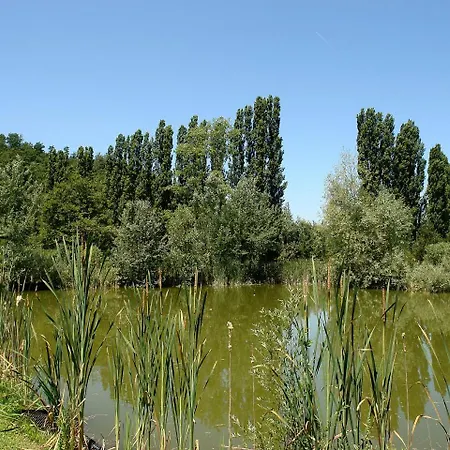 Locazione Turistica Il Podere Di Marti.3 Marti